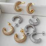 Pave zircon basic hoop
