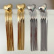 Long chain tassel heart earrings