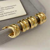 Metal chunky style earrings