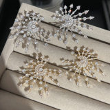 Pave zircon fireworks Earrings