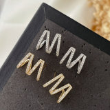 Pave zircon basic earrings