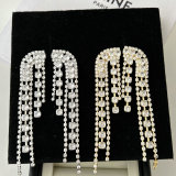 Party tassel earrings