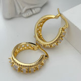 Pave zircon hoop