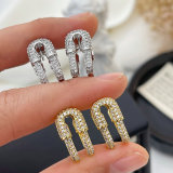 Pin earrings