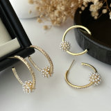 Pearl ball hoop