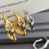 Special metal earrings