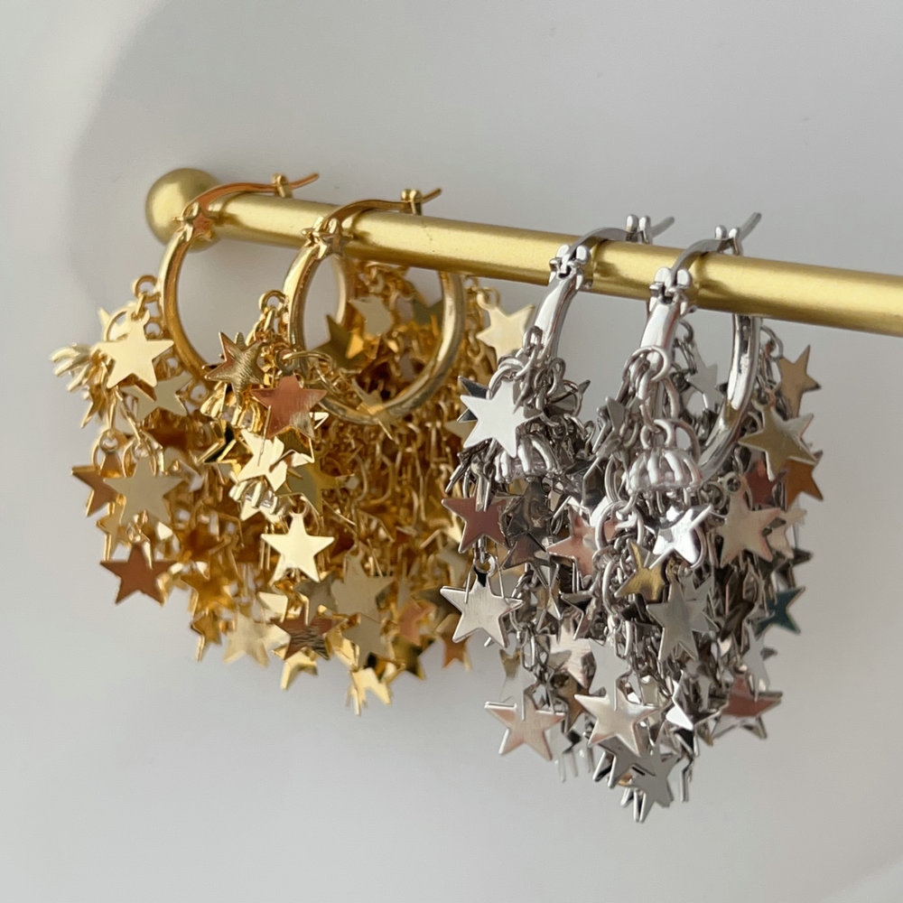 Max star charm earrings