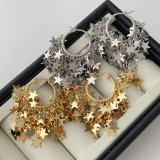 Max star charm earrings