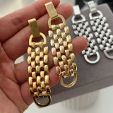 Chunky chain earrings