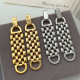 Chunky chain earrings