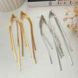 Chain long earrings