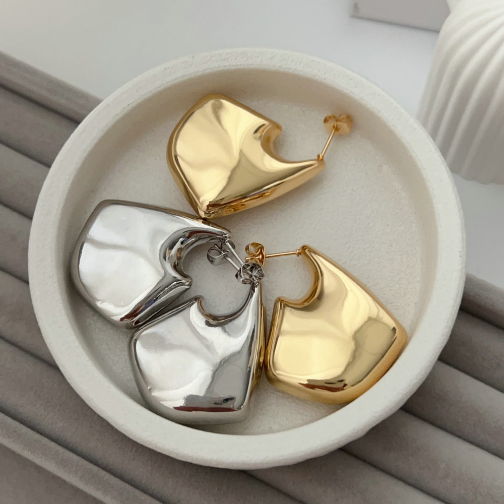 Metal speacil shape earrings