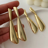 Metal speacil earrings