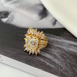 Fashion pave earrings