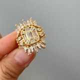 Fashion pave earrings