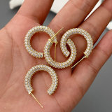 Pave zircon basic hoop