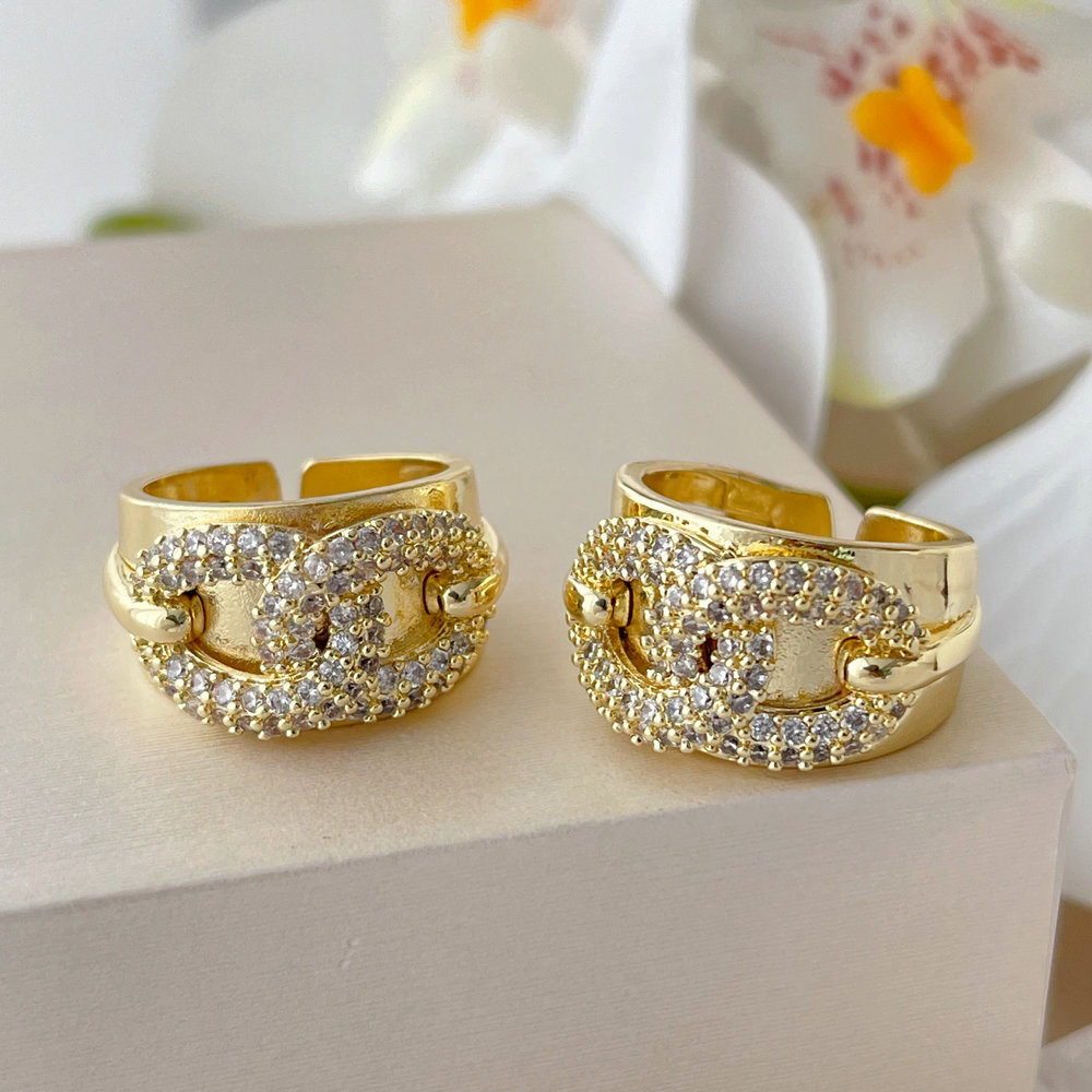 Pave zircon chain ring
