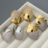 Pave fashion earrings