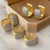 Pave zircon square bio color earrings
