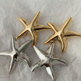 Star earrings