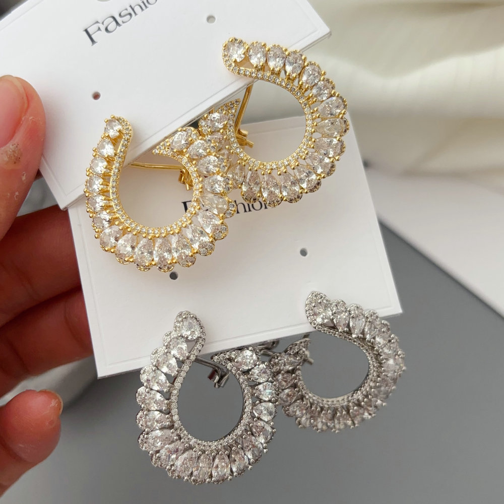 Pave zircon s shape earrings