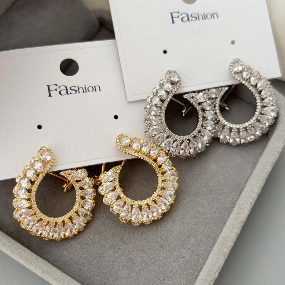 Pave zircon s shape earrings