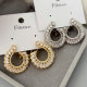 Pave zircon s shape earrings