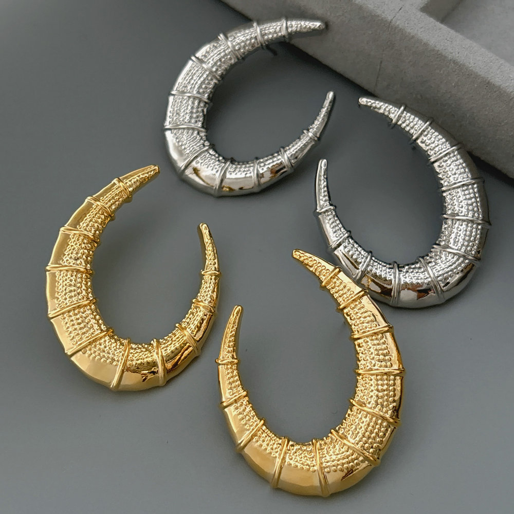 Metal s shape earrings