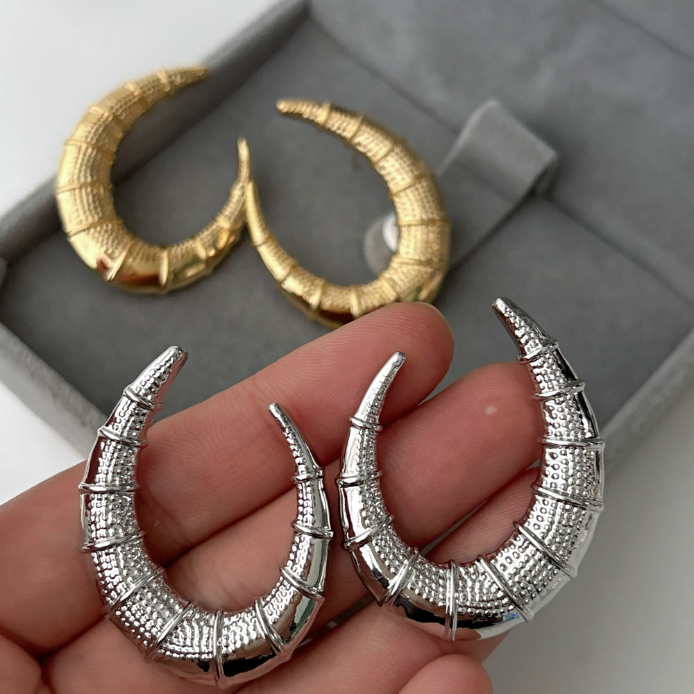 Metal s shape earrings