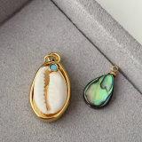 Shell charm