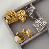 Fashion earrings