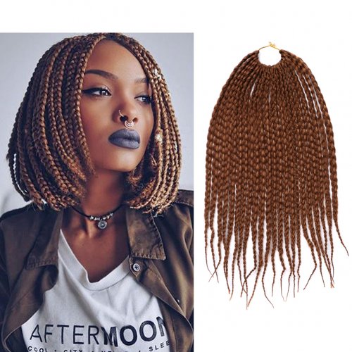 Us 6 99 Dairess 12 Inches 22roots Small Box Braids Crochet Hair