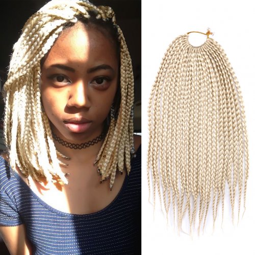Us 6 99 Dairess 12 Inches 22roots Small Box Braids Crochet Hair