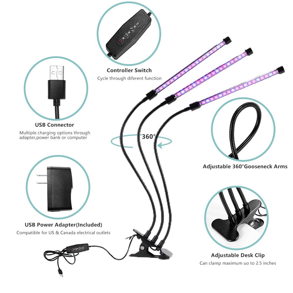 moer sky grow light