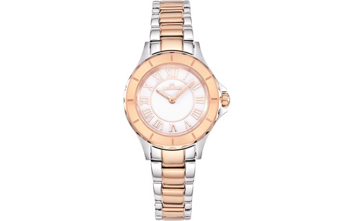 LIBER AEDON Light Luxury Fashion Lightweight Small Disc Women's Quartz Watch
