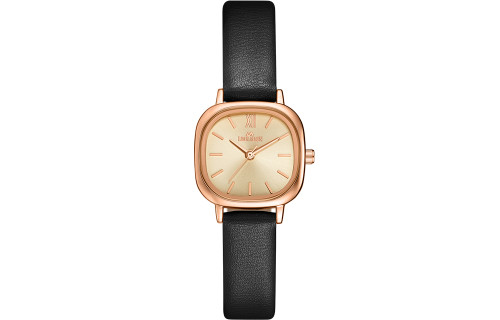 LIBER AEDON Retro Small Square Ins Light Luxury Style Belt Women's Watch