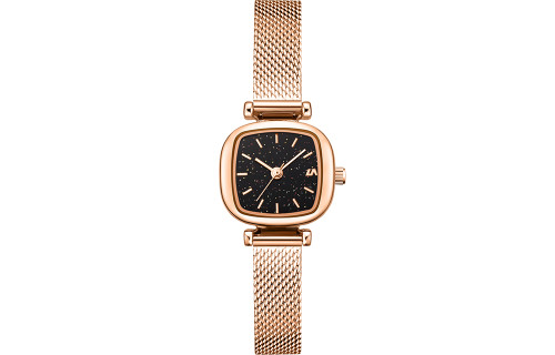 LIBER AEDON Fashion Versatile Small Square Women's Watch