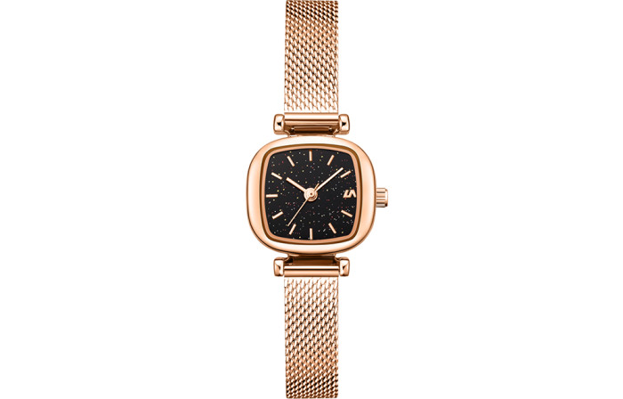 LIBER AEDON Fashion Versatile Small Square Women's Watch