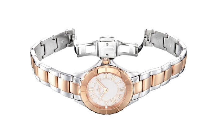 LIBER AEDON Light Luxury Fashion Lightweight Small Disc Women's Quartz Watch