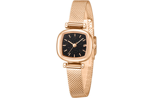 LIBER AEDON Fashion Versatile Small Square Women's Watch
