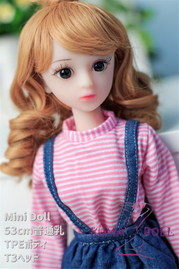 Mini Doll ミニドール セックス可能 53cm普通乳TPE T3ヘッド 身長選択可能