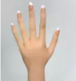 従来のワイヤー関節の手指