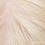 金髪-植毛（髪型はご指定可能、シリコンヘッドのみ）
