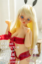 TPE製ラブドール AXB Doll 65cm バスト大 TA09ヘッド 掲載画像のボディはリアルメイク付き