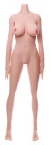 Cosdoll正規品 ラブドール 168cm Gカップ #4ヘッド TPE頭部 身長選択可能 カスタマイズ可能