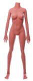 Cosdoll正規品 ラブドール 170cm 巨乳 #29ヘッド 軟性・硬性シリコンヘッド及び身長など選択可能 カスタマイズ可能