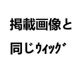 掲載画像と同じ 掲載画像と同じ