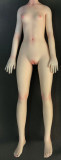 Mini Doll ミニドール セックス可能 60cm普通乳シリコン 天使もえヘッド 身長選択可能