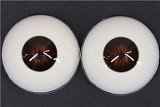 【即納・国内在庫品・送料無料】TPEラブドール 専用眼球 アイ 1セット売りEYE 目 身長100cm以上のドール用 Wmdoll工場採用品