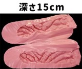 フルシリコン製ラブドール RZR Doll 170cm Cカップ Delux-究極版 Ruoxi若兮 「R」シリーズ